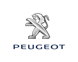 ونش انقاذ سيارات بيجو